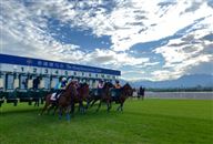 加入赛马精英团队！香港赛马会从化马场招聘策骑员，赛事见习学员等多个